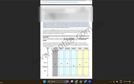 A real LANTITE pass result sent in by a student who used the app